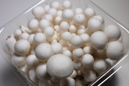 Small mushrooms food ingredientsの写真素材