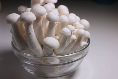 Small mushrooms food ingredientsの写真素材