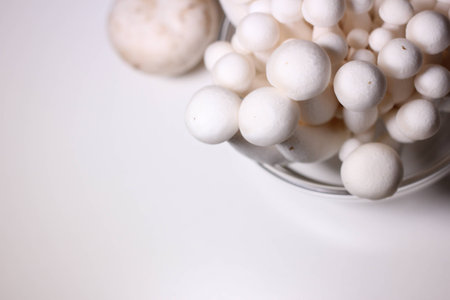 Small mushrooms food ingredientsの写真素材