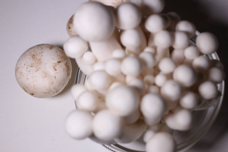 Small mushrooms food ingredientsの写真素材