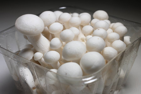 Food ingredients mushroomsの写真素材
