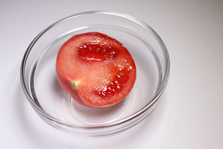 Ingredients tomatoes inside a bowlの写真素材