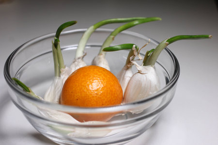 Glass bowl with foodの写真素材