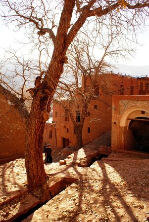 Tree in Abyanehの写真素材