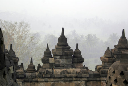 Mist morning in Borobudur, Java, Indonesia                   