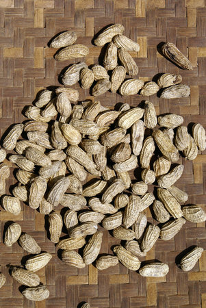 Lots of peanuts in shell on the plate                    