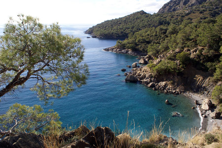 Sea coast with forest and mountain, Turkey            