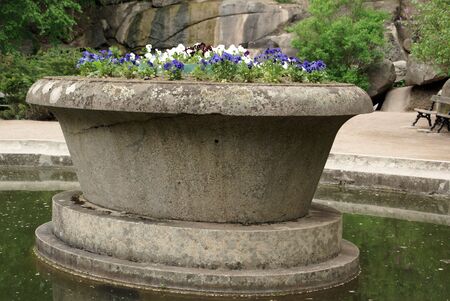 Big vase with flowers in Iman, Ukraine                 の写真素材