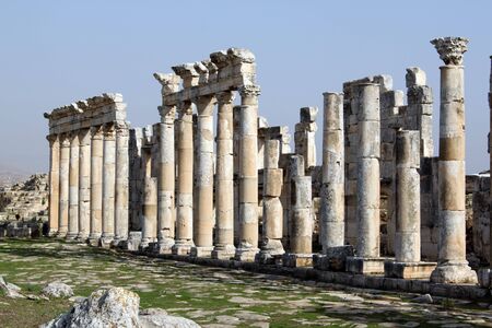 Grass on the street and long line of columns in Apamea, Syriaの写真素材