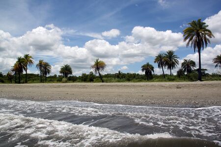 Waves, clouds and palm trees on the beach near Nadi, Fijiの写真素材