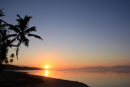 Sunset and palm trees on the beach in Fijiの写真素材