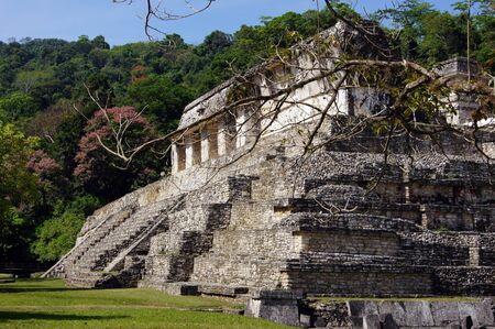 Temple of the inscriptions in Palenque, Mexico                      の写真素材