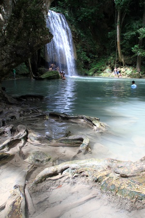 Big roots of tree and people near Erawan waterfall, Thailandのeditorial素材