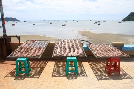 Dry fish on the stalls on the beach in Prachuap Khiri Khan in Thailandのeditorial素材