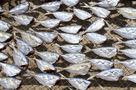 Dry headless fish cell on the stallの写真素材