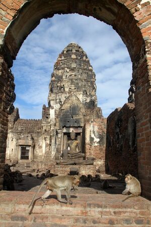 Monkeys and old prang in Phra Prang Sam Yot, Lop Buri, Thailandの写真素材