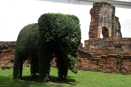 Green bush elephant in Narai palace, Lop Buri, Thailandの写真素材