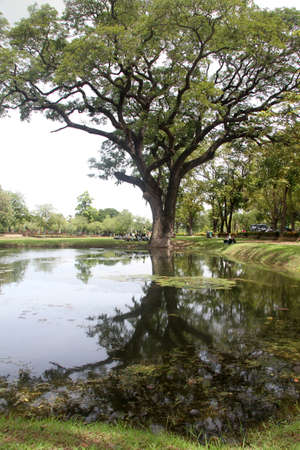Big tree and pond in park Sukhotai, Thailandのeditorial素材