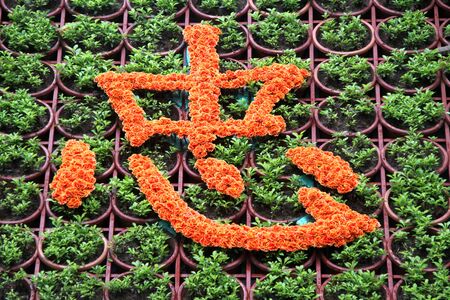 Flower red hyerogliph on the green plants in Literature temple, Hanoi, Vietnamの写真素材