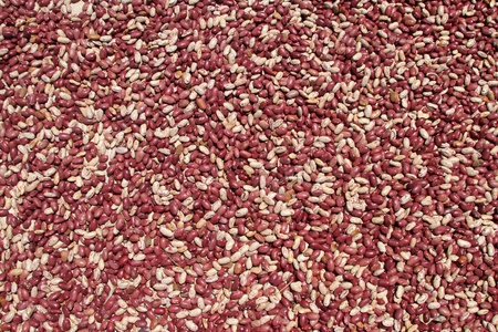 Dry red and white beans on the basketの写真素材