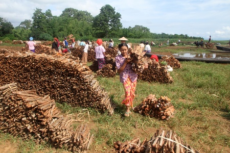 Woman with bundles of fire wood in the market, Inle lake, Myanmarのeditorial素材