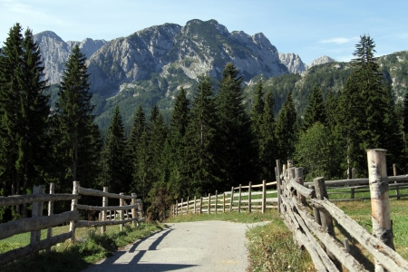 Wooden fence and road in Durmitor, Montenegroの写真素材
