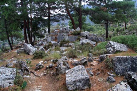 Pine trees and ruins in Pinara, Turkeyの写真素材
