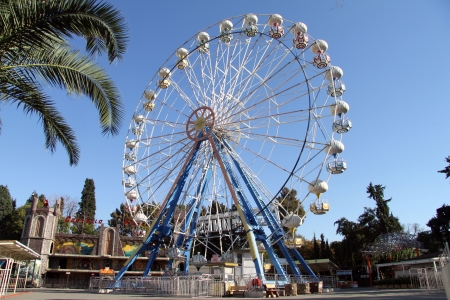 Palm tree and big circle in Izmir, Turkeyのeditorial素材