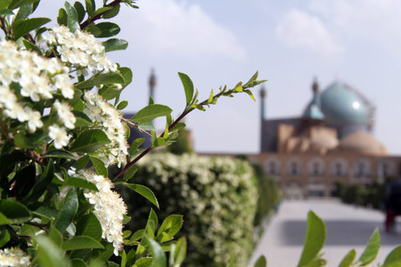 Flowers and Imam mosque on the Naqsh-e Jahan Square, Esfahan, Iran