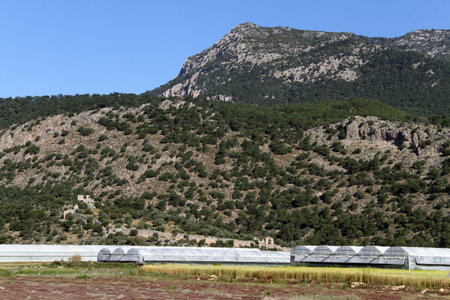 Greenhouses near mount in Turkeyの写真素材