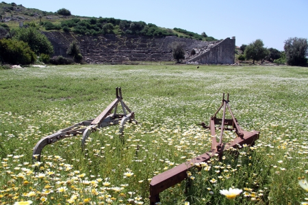 Camomile a nd ploughs near theater in Letoona, Turkeyの写真素材