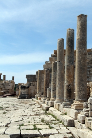 Row of columns in Patara, Turkeyの写真素材