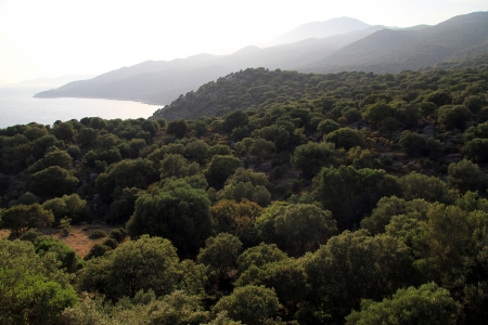 Mediterranean coast in Kekova region, Turkeyの写真素材