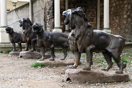 Sculptures of lion in the inner yard of Topkapi palace in Istanbul, Turkey の写真素材