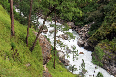 River and forest in mountain, Nepal