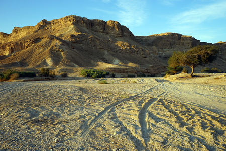 Tracks in wide wadi in Negev desert, Israelの写真素材