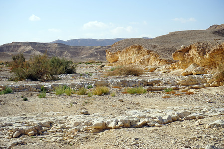 Wadi in Negev desert in Israelの写真素材
