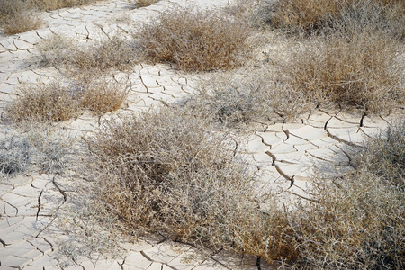 Cracked dry clay in the Negev desert, Israelの写真素材