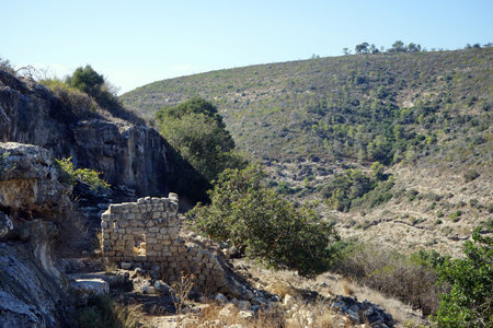 Ruins of Hirbat Rakit on the mount Carmel near Haifa, Israelの写真素材