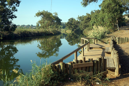 Wooden embankment on the river in Nahal Alexander national park in Israelの写真素材