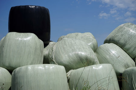 Hay rolls with plasdtic cover on the field in France