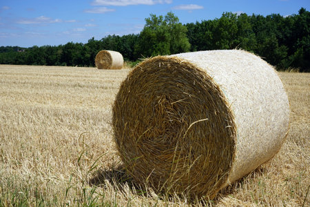 Stubble farm field in France