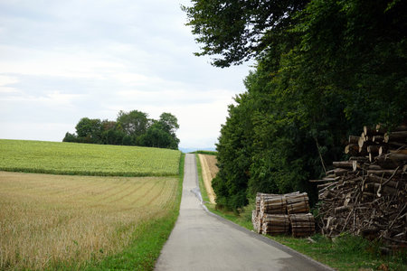 Road and firewood near farm fields in Switzerland