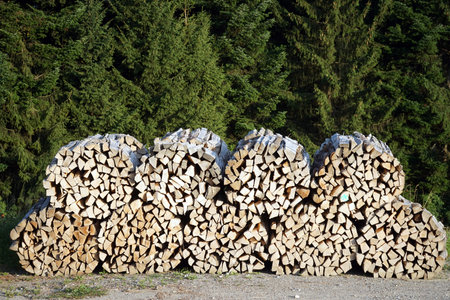 Rolls with firewood near forest edge in Switzerland