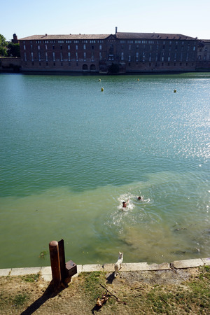 TOULOUSE, FRANCE - CIRCA JULY 2015 People swim in Garonne riverのeditorial素材
