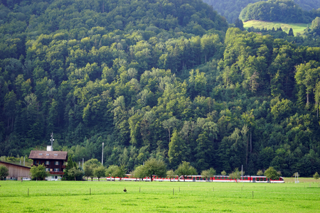 Swiss red train on the railway asnd green pasture in Switzerlandの写真素材