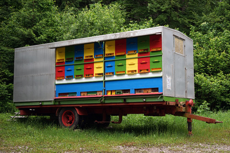 Beeheaves in the trailer in the forest, Sloveniaの写真素材