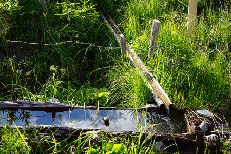 Wooden tubes and clean spring water in Switzerlandの写真素材