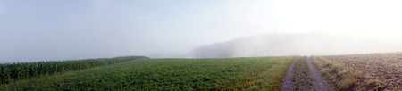 Track on the farm field with mist in Germanyの写真素材