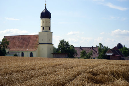 Wheat field and parish church in village, Germanyの写真素材
